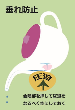 男性の解剖5